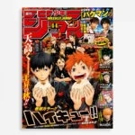 Anime Metal Poster Wall Decor - Volleyball Team - A